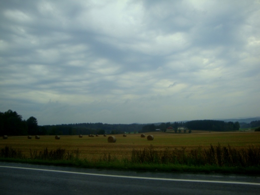 road_hay field_crop_sky