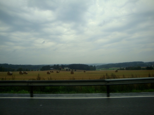 road corn field
